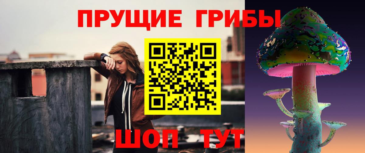 Курчатов  Галлюциногенные грибы прущие грибы  Вход с VPN 