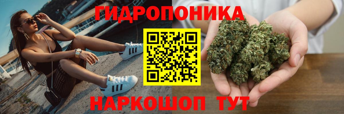 Бошки марихуана Bruce Banner Курчатов